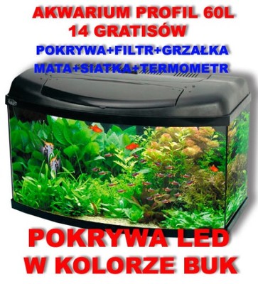 AKWARIUM 60L PROFIL BUKOWA POKRYWA LED 14gratisów 6253295246