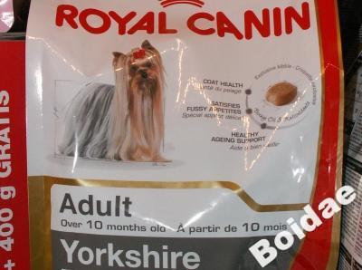 YORK ADULT ROYAL CANIN 1kg. ( 500g. +  500g.) PROM