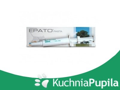 ICF Epato Paste Plus schorzenia wątroby 2x15ml