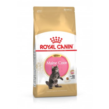 ROYAL CANIN MAINE COON KITTEN 4KG + KURIER