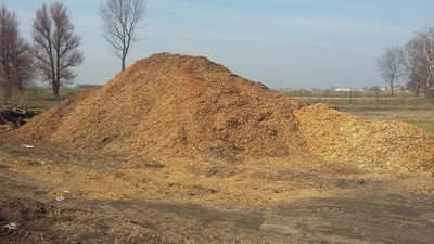 Zrębka opałowa biomasa POZNAŃ liściasta i iglasta