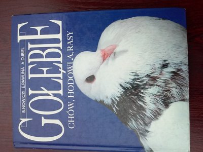 Książka Gołębie