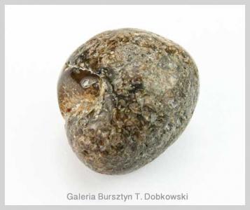 5070-Prawdziwy bursztyn bałtycki bryłka kawałek