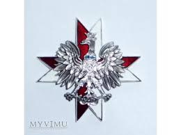 odznaka 1 pułku ułanów deagostini medale