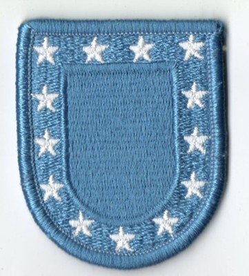 U.S.Army beret flash