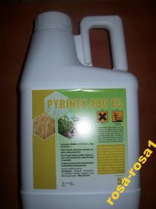 PYRINEX 480 EC 5l na pędraki rolnice drutowce