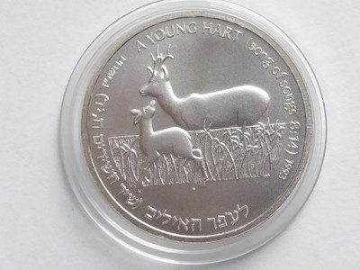 1 New sheqel 1993 Izrael , srebro, rzadki - 687