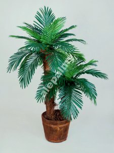 Palma sztuczna 1.8m Sztuczne drzewka kwiaty palmy - 6147194480 - oficjalne  archiwum Allegro