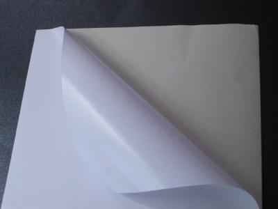 Papier samoprzylepny biały matt 80g 10ark - 1,99zł