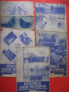 Gołębie HODOWCA GOŁĘBI POCZTOWYCH 7 egz ROK 1956