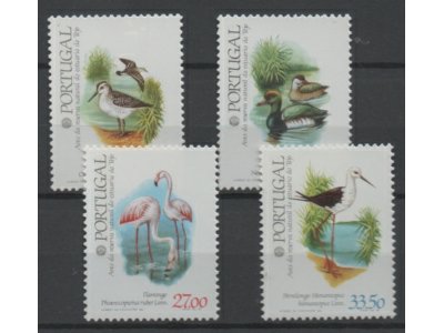ptaki wodne - Portugalia