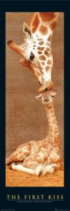Żyrafy (Pierwszy pocałunek) - plakat 158x53 cm