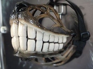 Kaganie zęby - SMILE