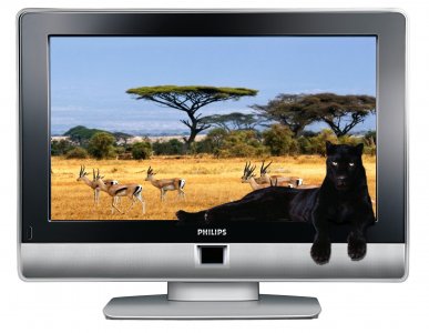 TV PHILIPS 23HF5474/10 LCD 23'' HD Ready DVI - 6585960822 - oficjalne  archiwum Allegro
