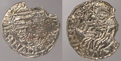 2417. Władysław II Jagiellończyk (1490-1516) DENAR