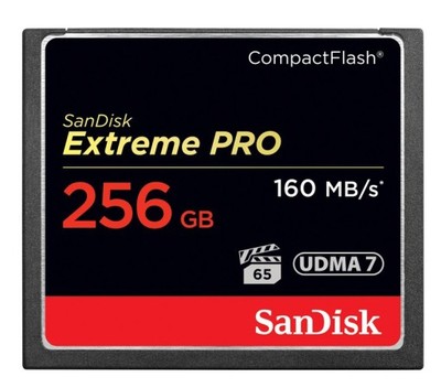 SanDisk Compact flash 256 GB Extreme Pro 160 Mb/s