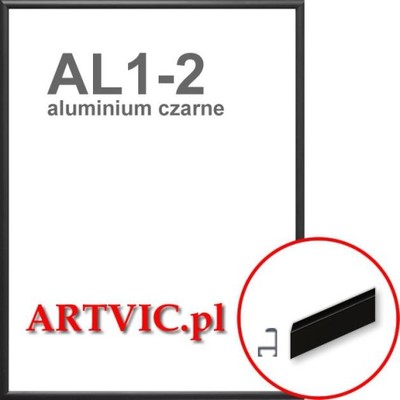 Rama aluminiowa czarny półmat 30x90cm /AL1-2
