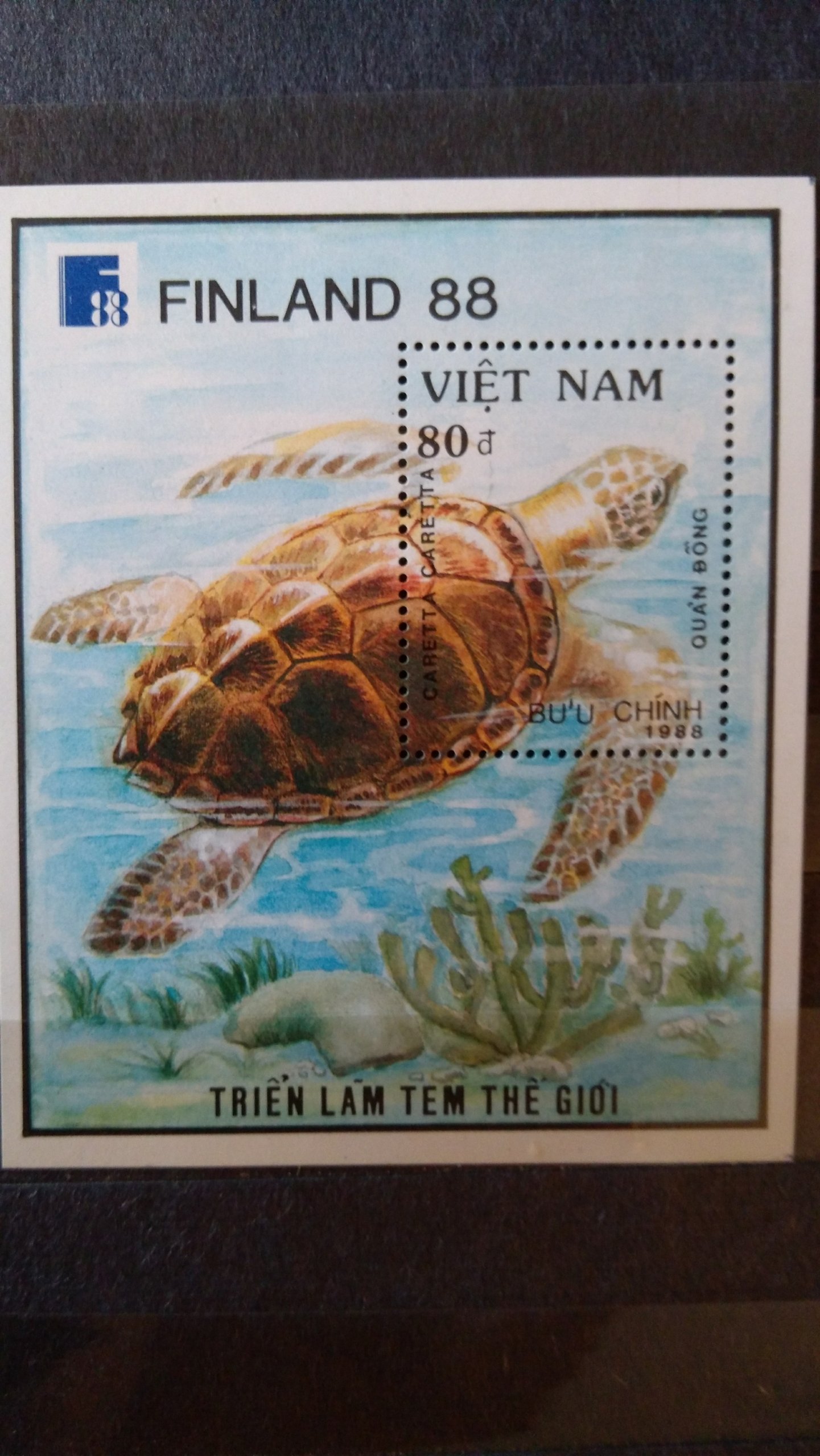 Wietnam żółw blok czysty