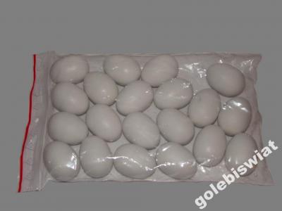 POLMARK Jajka plastikowe,pełne, dla gołębi 20szt