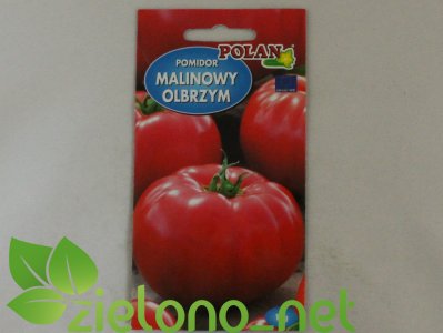 Pomidor malinowy olbrzym Polan 1g