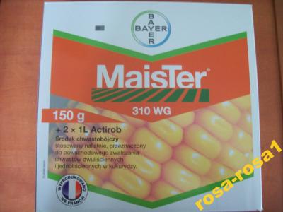 MAISTER 310 WG 150g +ACTIROB chwasty w kukurydzy