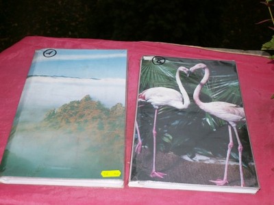 Dwa Stare albumy na kartki pocztowe po 96szt