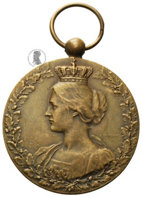 PGNUM Belgia I Wojna Medal za Współpracę 1914-1918