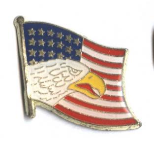 odznaka FLAGA USA Stany Zjednoczone
