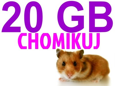 Transfer z Chomikuj 20 GB lub 40 GB | AUTOMAT 24/7