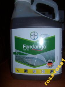 FANDANGO 200 EC 5l na choroby zbóż fungicyd BAYER