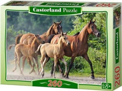 ! Puzzle 260 Castorland B-27194 Konie