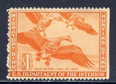 USA ** Scott RW 11 Duck Stamp 110 EURO!