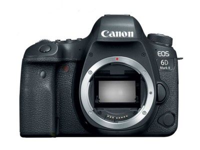 Canon EOS 6D Mark II + EF 24-105mm f4 L IS II USM