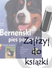 Berneński Pies Pasterski Poradnik Opiekuna