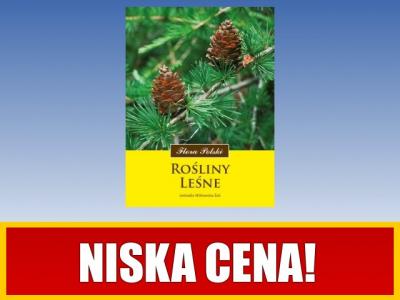 Rośliny leśne - Leokadia Witkowska-Żuk