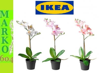 IKEA Fejka STORCZYK orchidea w doniczce KOLORY ! - 6037256732 - oficjalne  archiwum Allegro