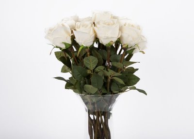 białe róże WITEKS jak żywe 8 sztuk nowe 63cm - 6040860920 - oficjalne  archiwum Allegro
