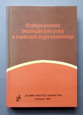 Strategia poprawy bezpieczeństwa pracy - Konopko
