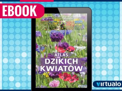 Atlas dzikich kwiatów Paweł Mederski