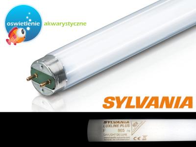 Świetlówka Sylvania Luxline Plus 865 15W / 438mm