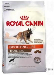 Royal Canin Sporting Life Trail Dog 4300 15kg - 5945989259 - oficjalne  archiwum Allegro