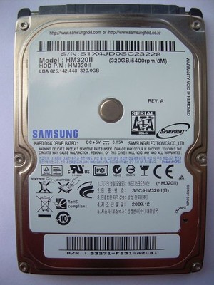 Samsung HM320II 320GB 5400 RPM 100% Sprawny Gw.