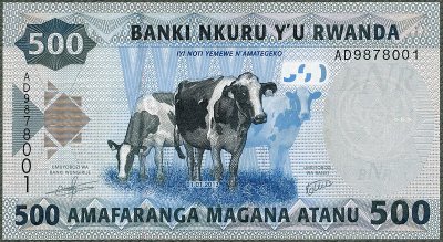 Rwanda - 500 franków 2013 * P38 * łaciate  krówki