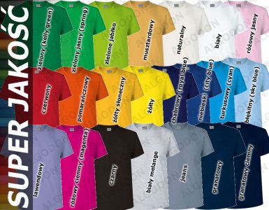 Tshirt koszulka na WF W-F gimnastykę 22 kolory 134