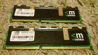 MUSHKIN DDR3 4GB (2x2GB) 1600Mhz CL7-7-7-20