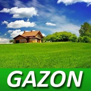 TRAWA GAZON TRAWNIKI PRZYDOMOWE REKREACYJNE 100KG!