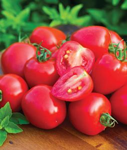 Pomidor -MALINOWY KAPTUREK-koktajlowy