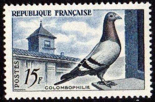 Francja 1957, Ptak: gołąb **