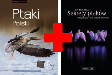 Ptaki Polski + Atlas ptaków  CD głosy obserwowanie