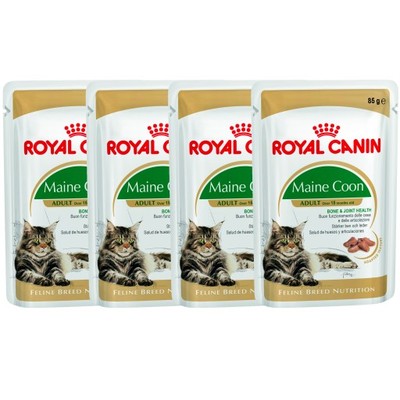 Royal Canin Maine Coon Multipack 4x85g - dla kotów